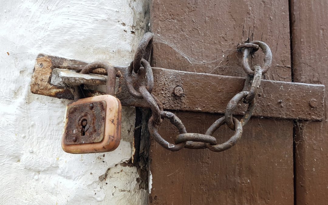 Confinés mais toujours bien vivants !